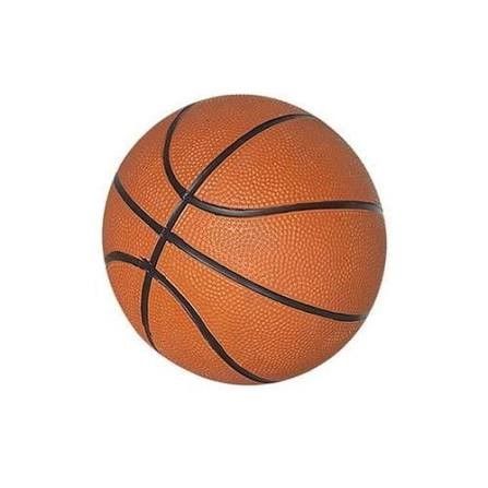 Camp d'entrainement de basketball